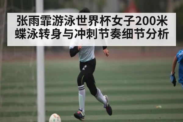 张雨霏游泳世界杯女子200米蝶泳转身与冲刺节奏细节分析